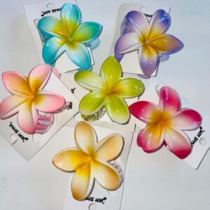 Paquete de 6 pinzas multicolor flores hawaianas